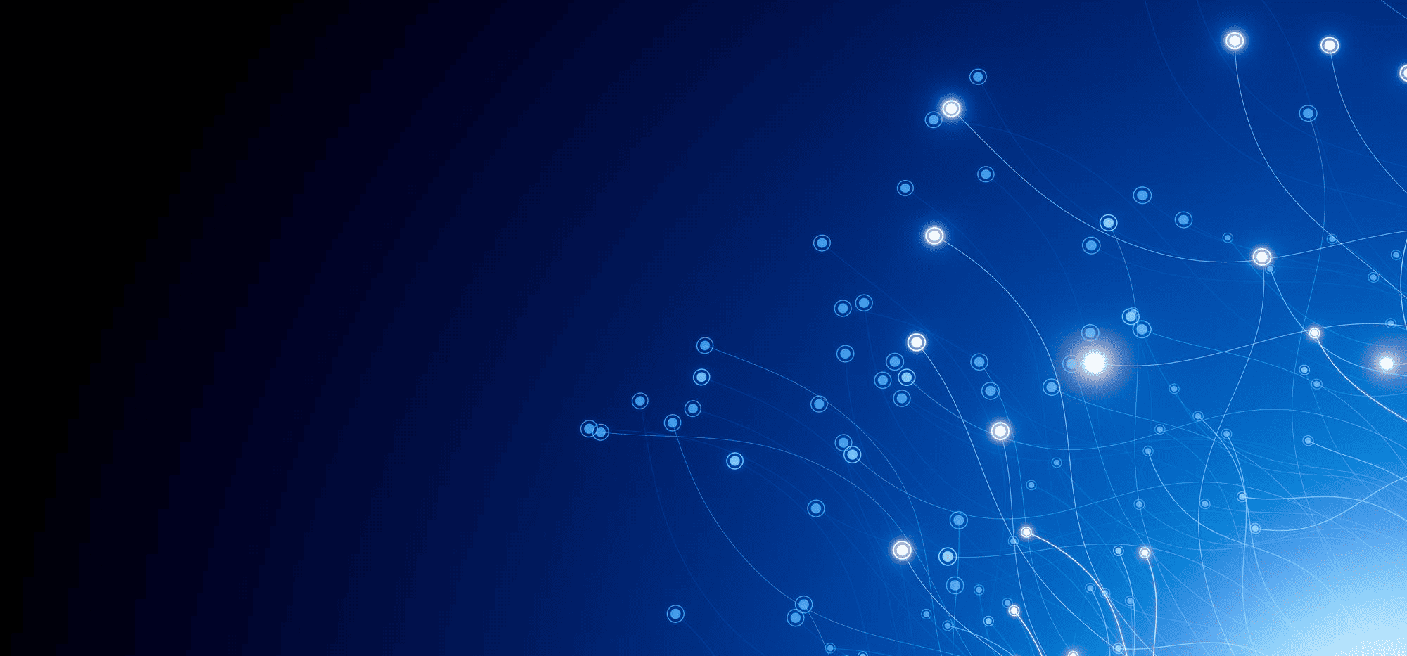Innovation & <span>Digital Transformation</span>